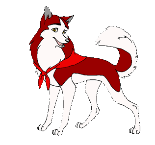 JennaHuskie JennaHuskie