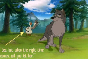 Wolf