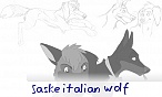 saske italian wolf saske italian wolf