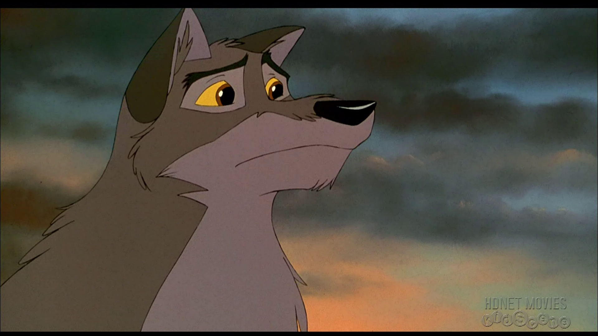 Animation