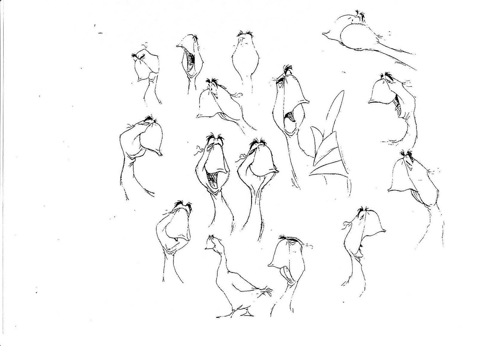 Sketches