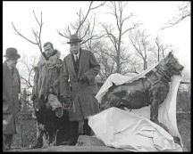 The real Balto (central park)