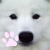 Balto197