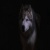 Balto-Fan1.