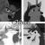 Chocolatestarlightwolf1925666.