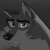 Grey wolf