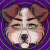 little.snouts