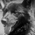 Mightybalto1925