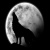ShadyWolf