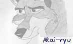 akai_ryu