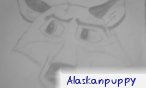alaskanpuppy