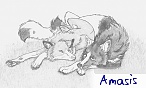 amasis