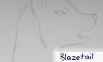 blazetail blazetail