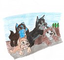 Niju's Little Pack in Trouble 