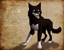 Le vrai Balto 