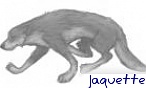 jaquette jaquette