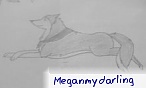 meganmydarling meganmydarling