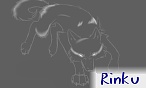 Rinku Rinku