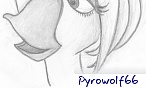 pyrowolf66