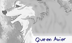 Queen Avier