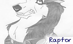 Rex Barkin