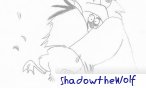 ShadowtheWolf