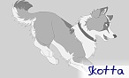 Skotta Skotta