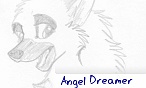 Angel Dreamer Angel Dreamer