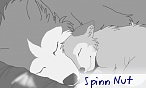 Spin Nutt Spin Nutt