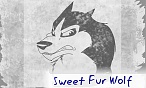 Sweet Fur Wolf Sweet Fur Wolf