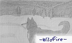 -WildWolf- -WildWolf-