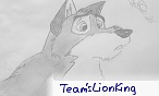 Team'