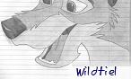 wildtiel wildtiel