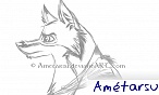 Am�tarsu