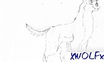 xWOLFx xWOLFx