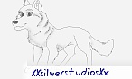 CommonDog CommonDog