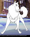 Male husky blank