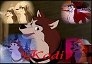 Kodi pour Ronno