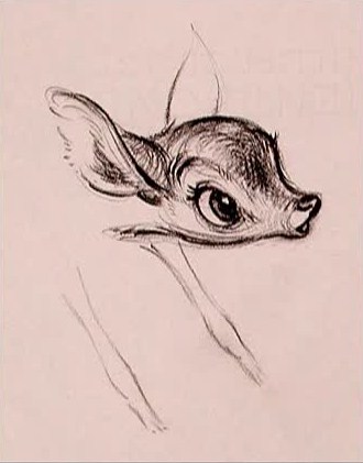 Thumper