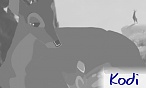Kodi