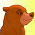 Nita (bear)