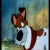Dodger_the_terrier