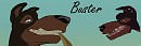 Signature de Buster