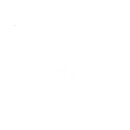 Disney DVD