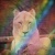 therainbowbandit