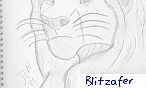 Blitzafer Blitzafer