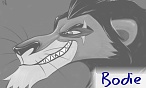bodie