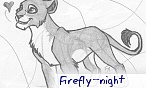 firefly_night