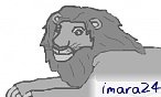 imara24