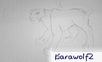 kiarawolf2
